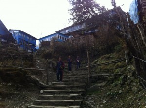 Really all the houses in Ghorepani are coloured in blue.