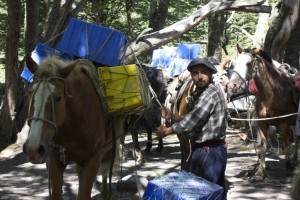 Here we learned how all the supplies of beer, wine and chocolate reach the remote campsites, by horse  and gaucho. No further complaints about cold showers.